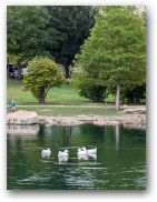 austin/24thirdq/24thirdq_20240726_174117.jpg