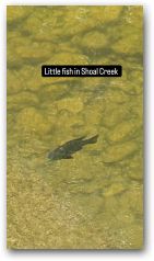 austin/24thirdq/24thirdq_20240731_140358.jpg