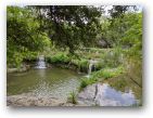 austin/20covid/20covid0425_2019.jpg