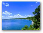 austin/20covid/20covid0514_2194.jpg