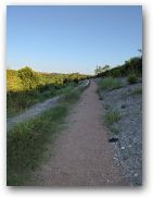 austin/20covid/20covid0613_3198.jpg