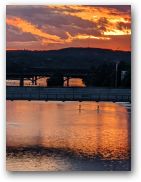 austin/20covid/20covid0623_3305.jpg