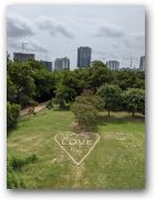austin/20covid/20covid0629_3352.jpg