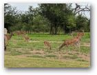austin/20covid/20covid0707_4071.jpg