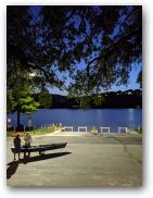 austin/20covid/20covid0730_4227.jpg