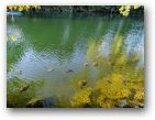 austin/20covid/20covid0819_5043.jpg