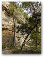 austin/20covid/20covid1023_6068.jpg